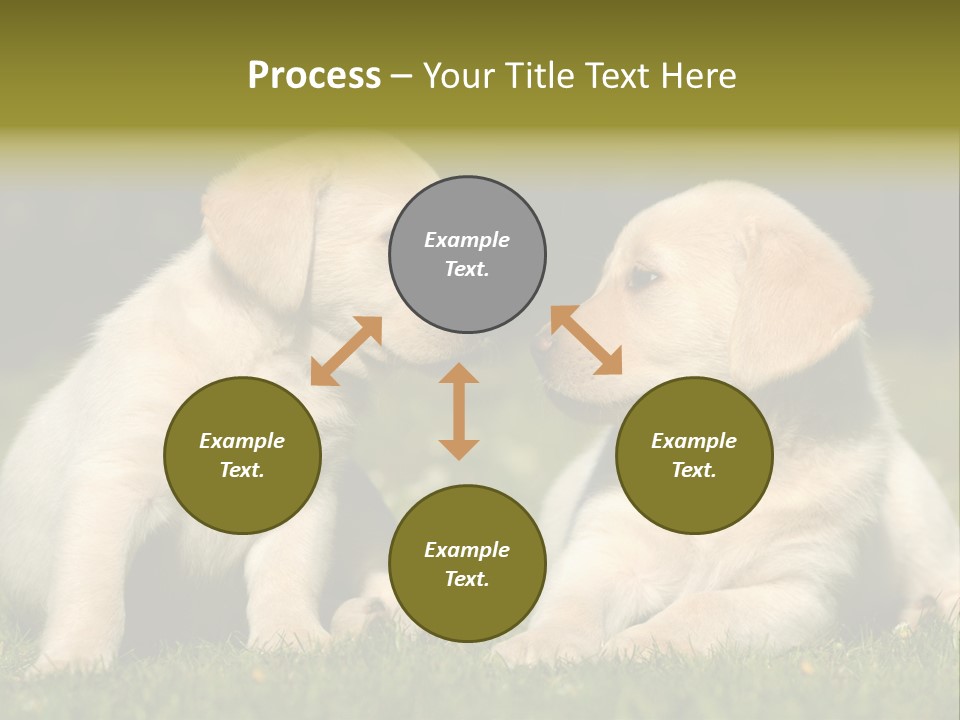 Junges Zwei Tierfreundschaft PowerPoint Template