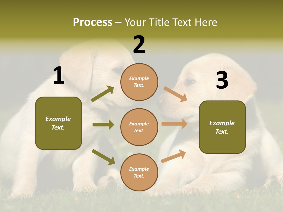 Junges Zwei Tierfreundschaft PowerPoint Template