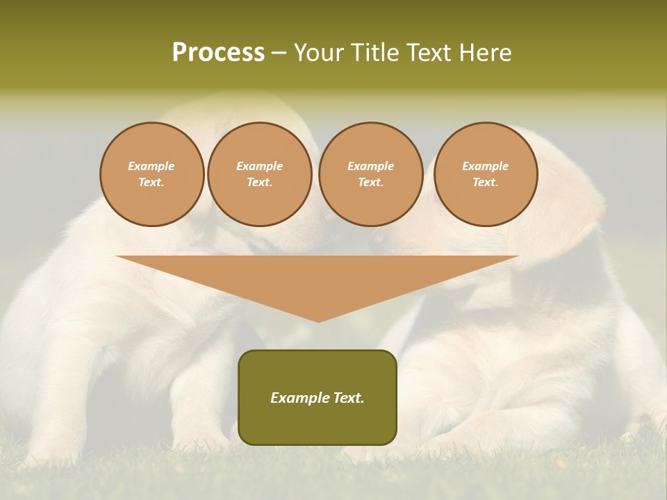 Junges Zwei Tierfreundschaft PowerPoint Template