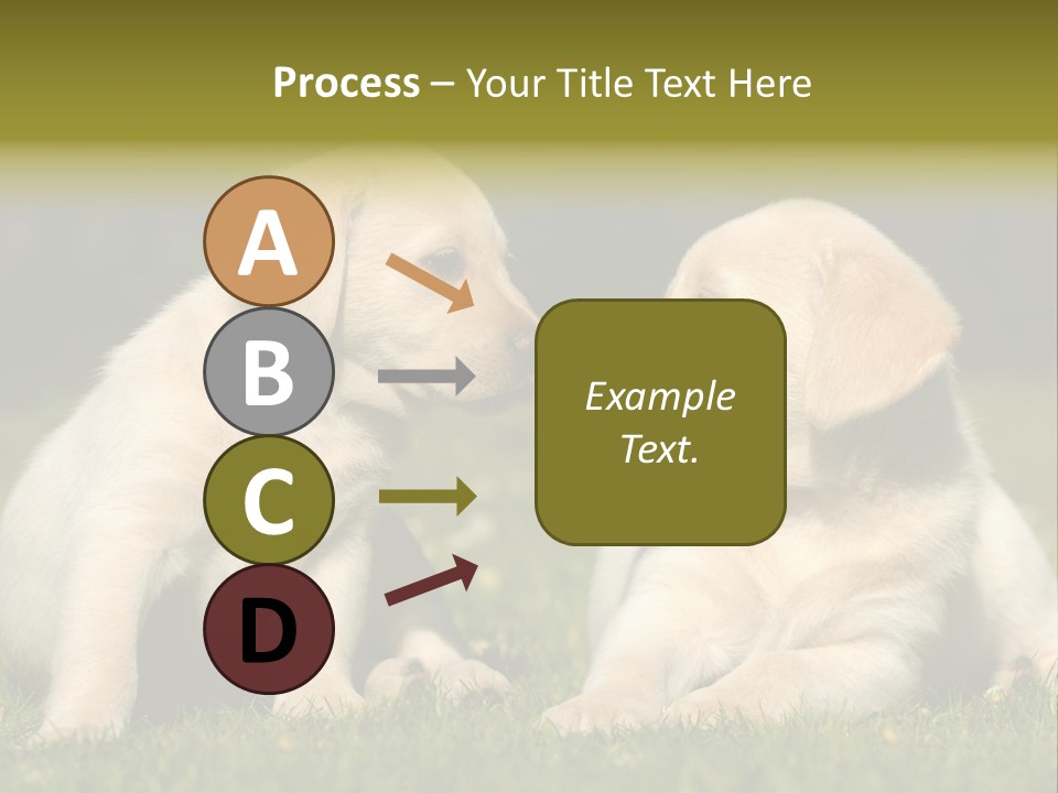 Junges Zwei Tierfreundschaft PowerPoint Template