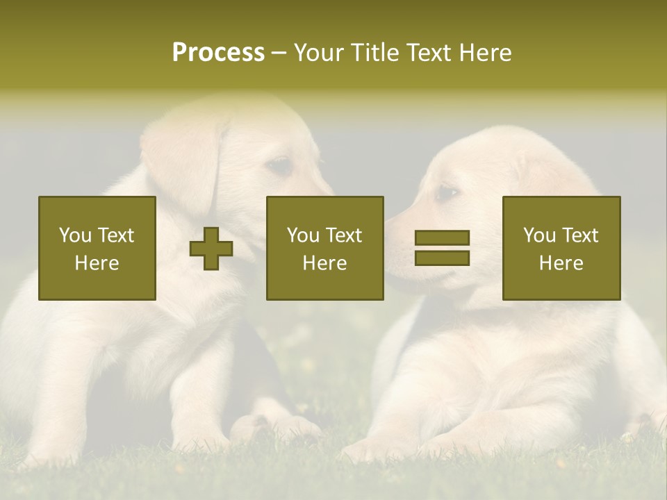 Junges Zwei Tierfreundschaft PowerPoint Template