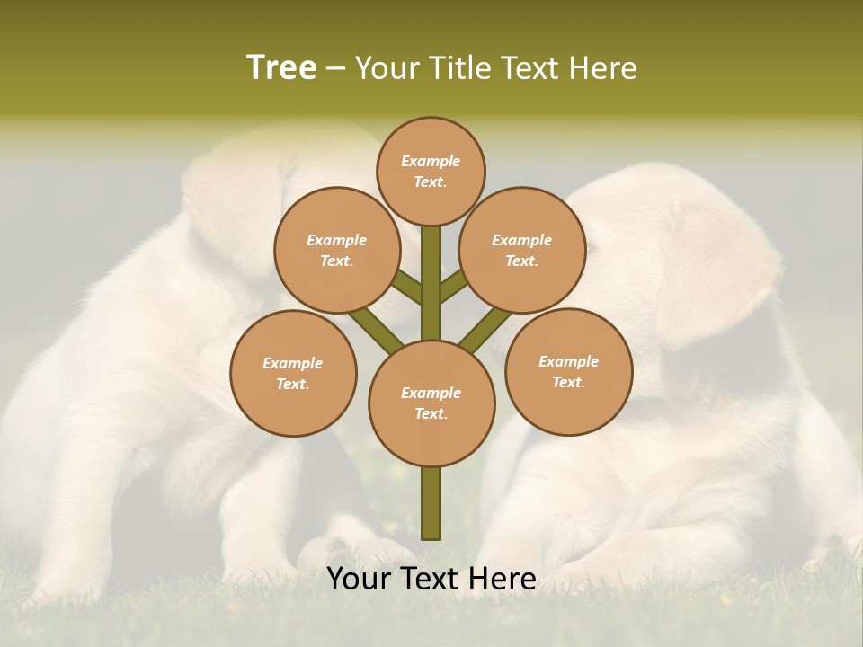 Junges Zwei Tierfreundschaft PowerPoint Template