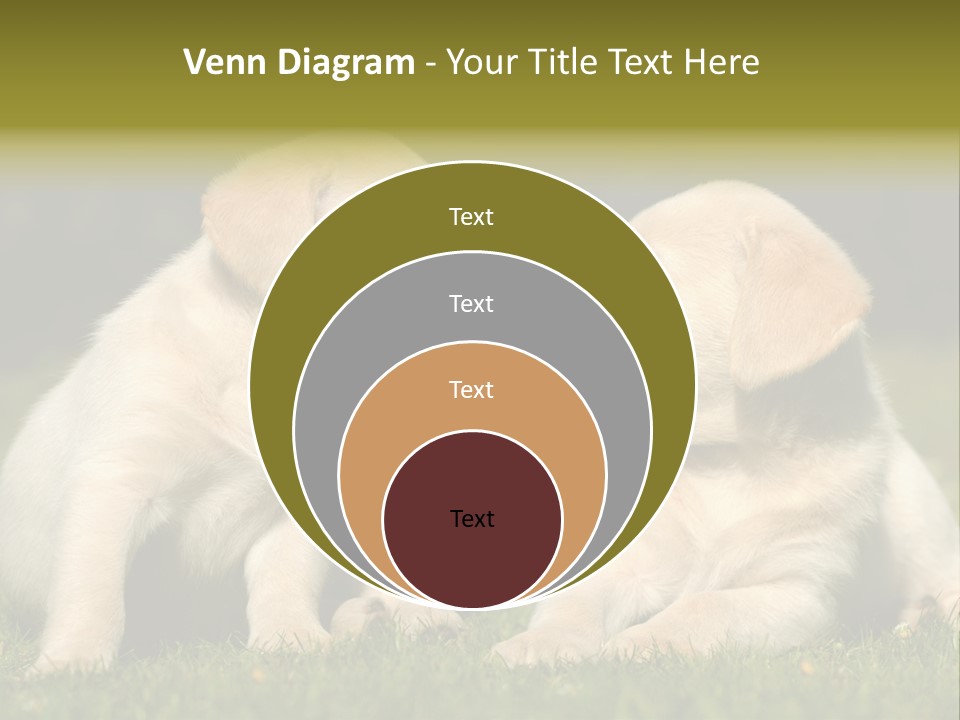 Junges Zwei Tierfreundschaft PowerPoint Template