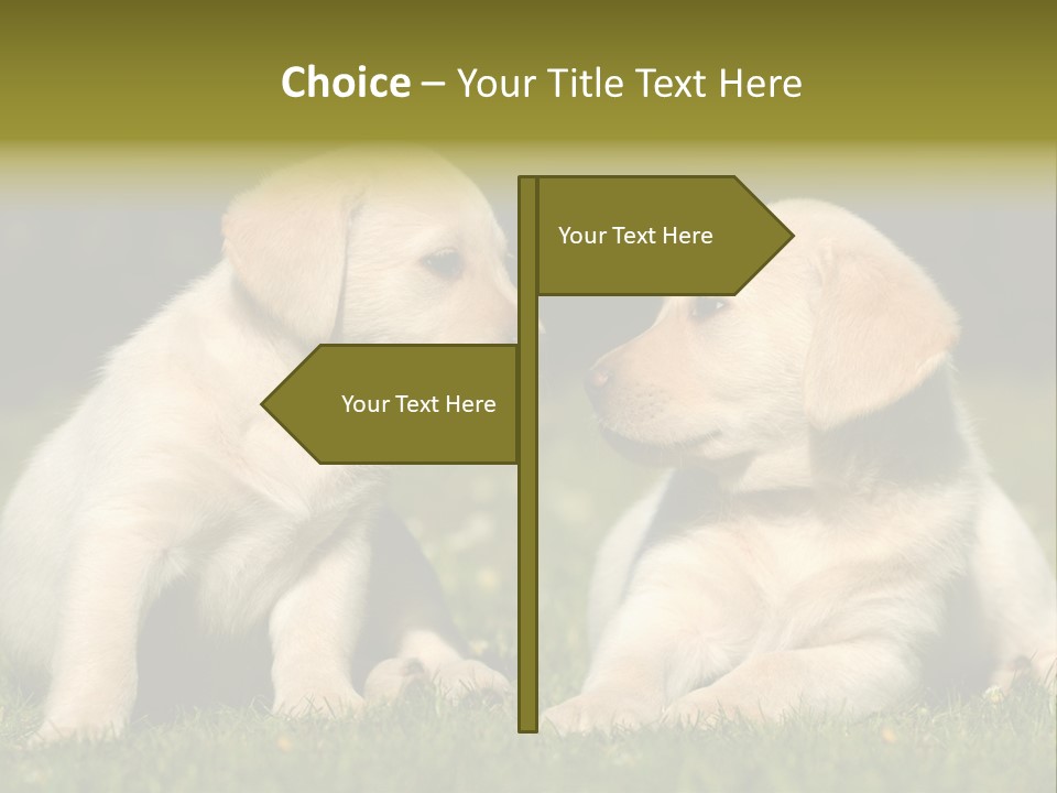 Junges Zwei Tierfreundschaft PowerPoint Template