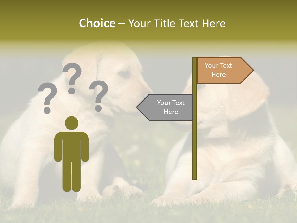 Junges Zwei Tierfreundschaft PowerPoint Template