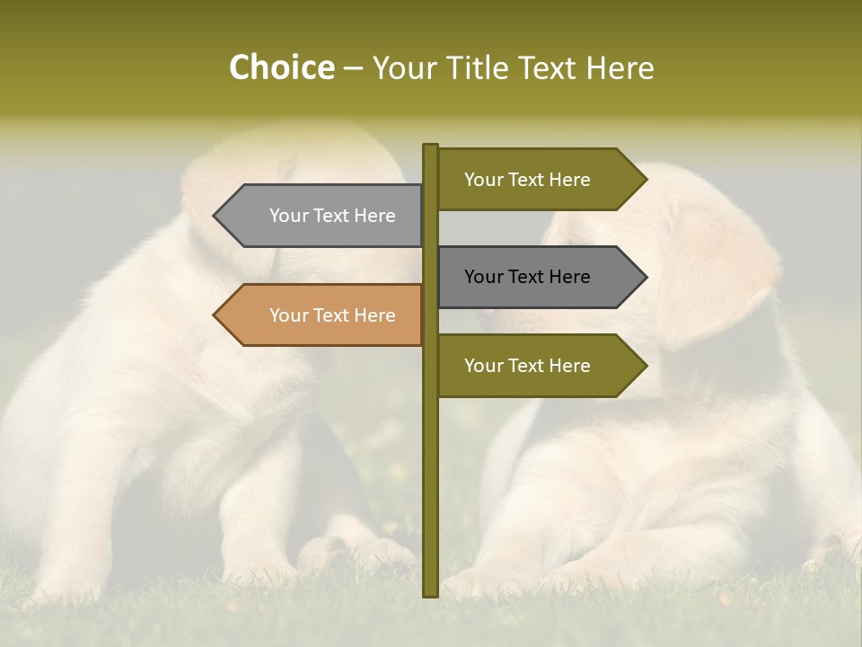 Junges Zwei Tierfreundschaft PowerPoint Template