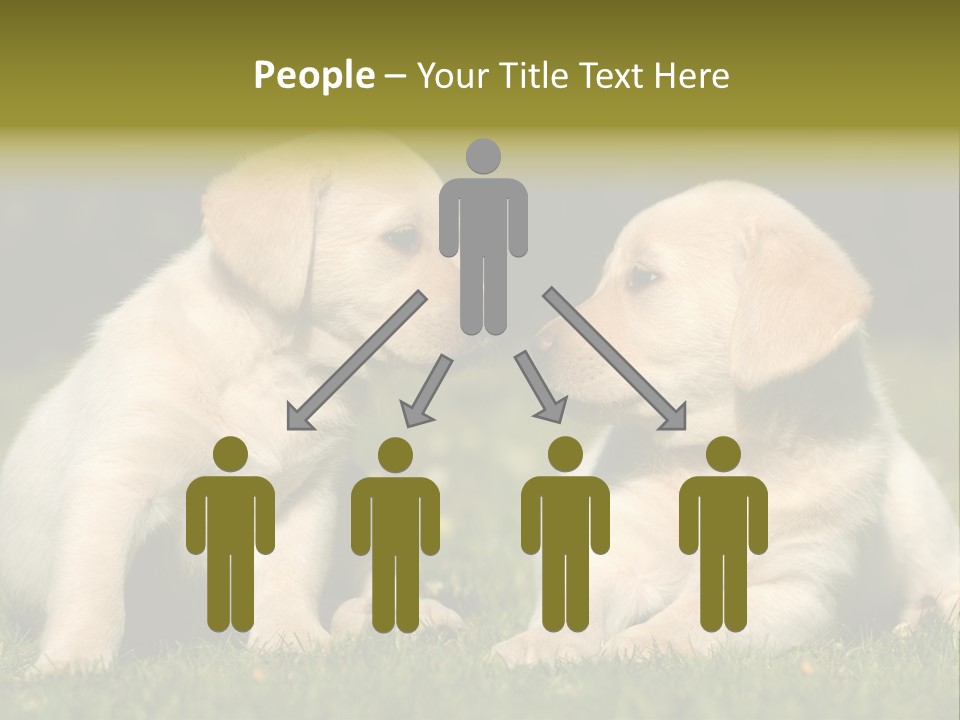 Junges Zwei Tierfreundschaft PowerPoint Template