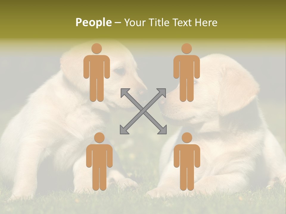 Junges Zwei Tierfreundschaft PowerPoint Template