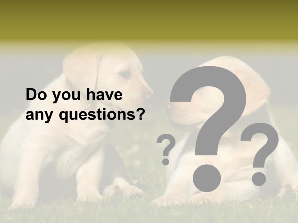 Junges Zwei Tierfreundschaft PowerPoint Template