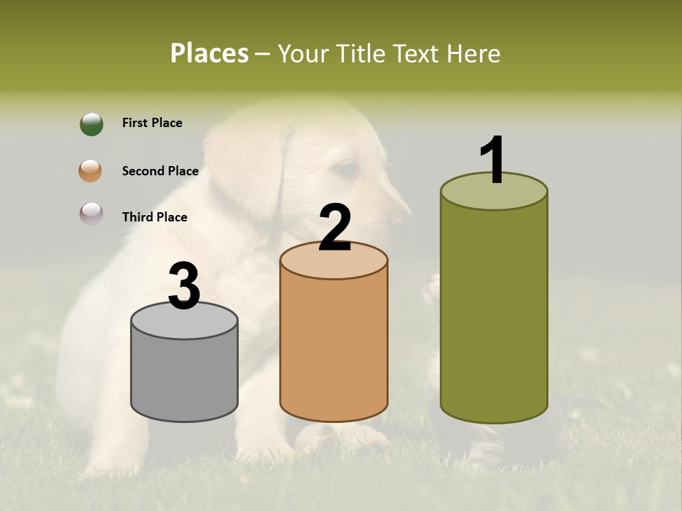 Jungtier Haustier Welpen PowerPoint Template