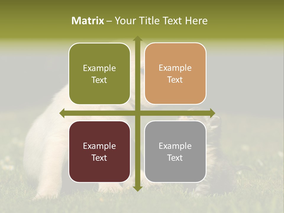 Jungtier Haustier Welpen PowerPoint Template