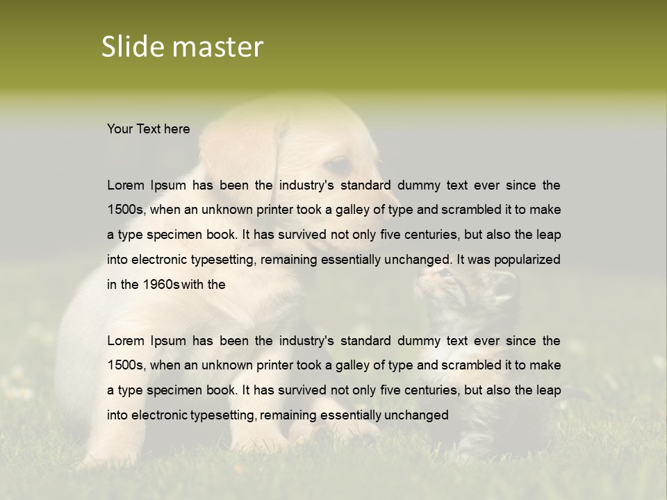 Jungtier Haustier Welpen PowerPoint Template
