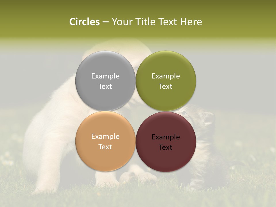 Jungtier Haustier Welpen PowerPoint Template