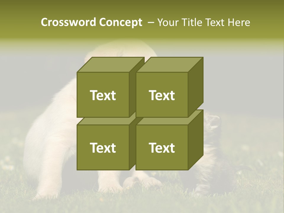 Jungtier Haustier Welpen PowerPoint Template