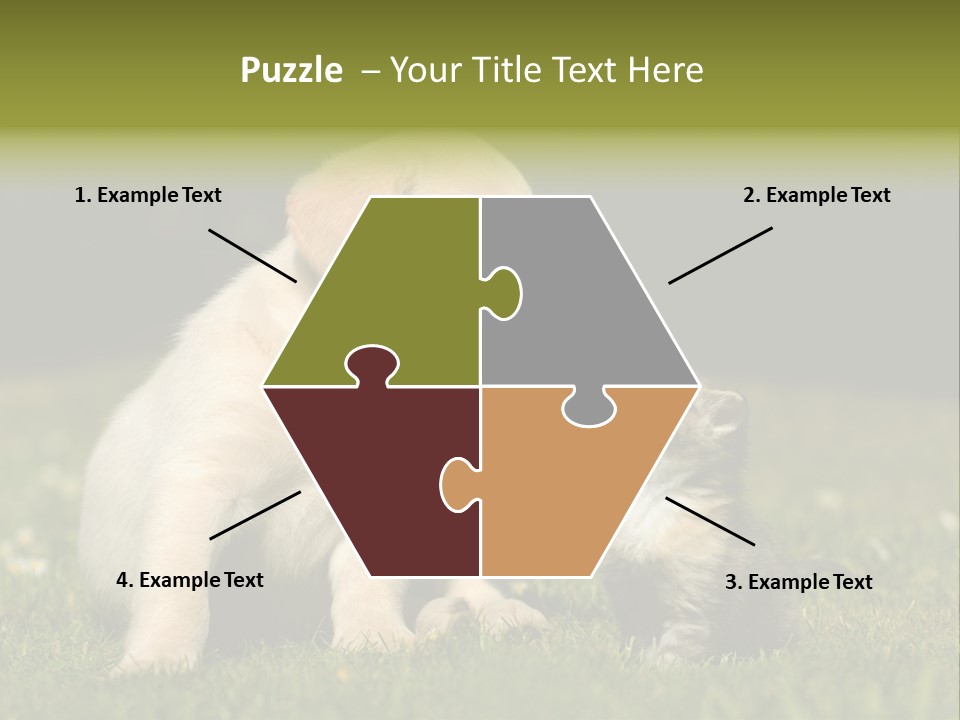 Jungtier Haustier Welpen PowerPoint Template