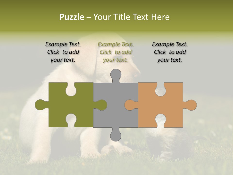 Jungtier Haustier Welpen PowerPoint Template