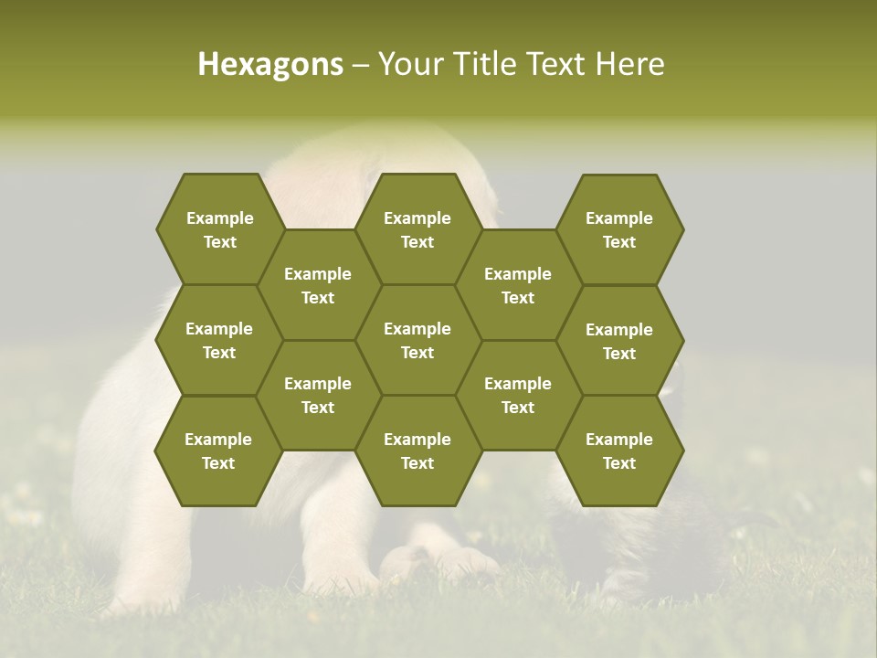 Jungtier Haustier Welpen PowerPoint Template