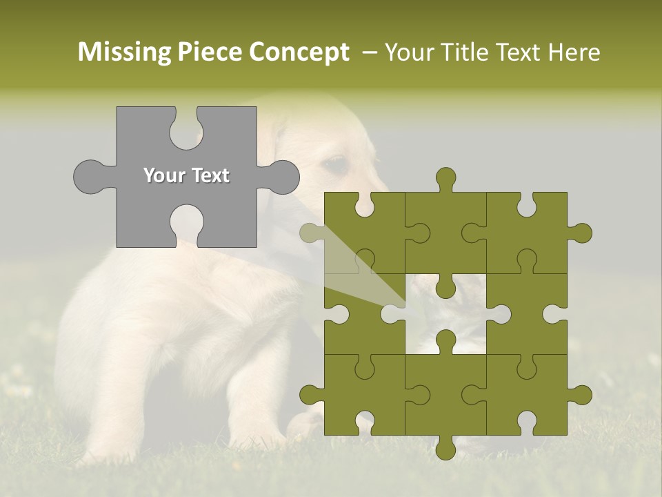 Jungtier Haustier Welpen PowerPoint Template