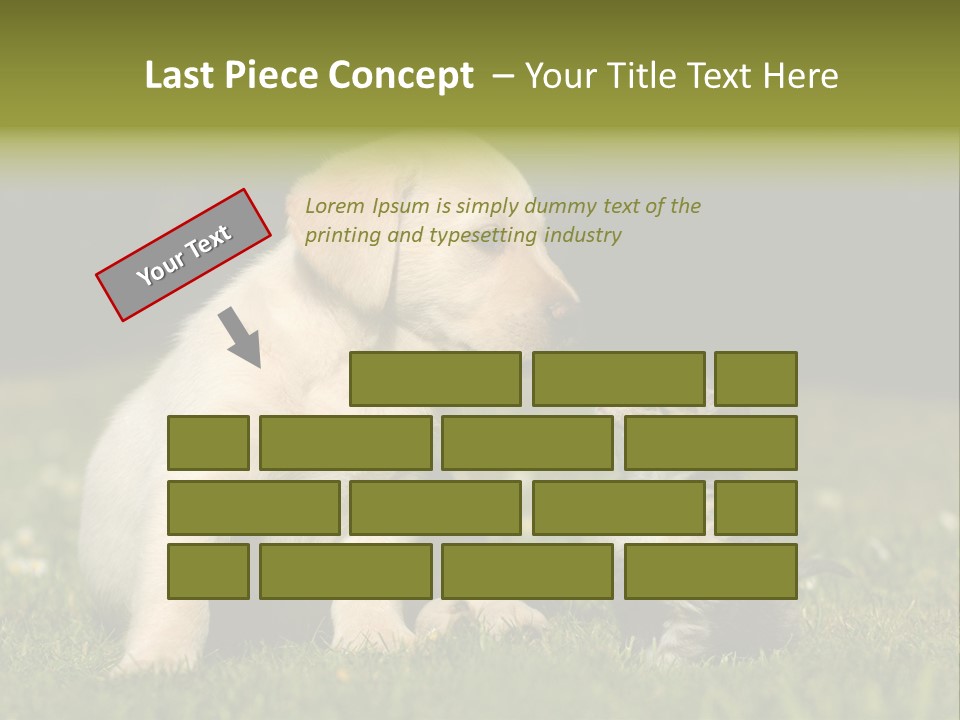 Jungtier Haustier Welpen PowerPoint Template