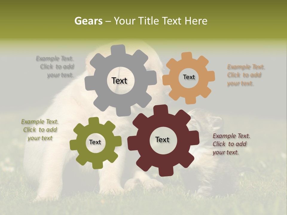 Jungtier Haustier Welpen PowerPoint Template