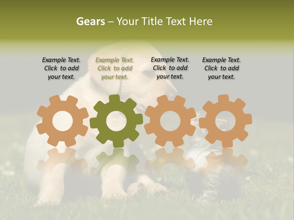 Jungtier Haustier Welpen PowerPoint Template