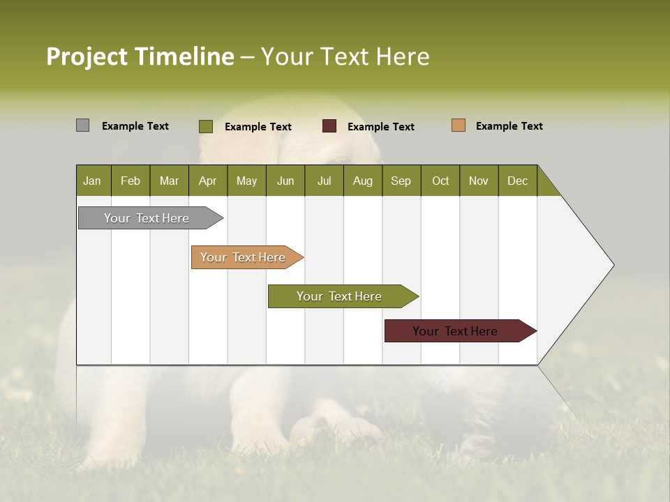 Jungtier Haustier Welpen PowerPoint Template