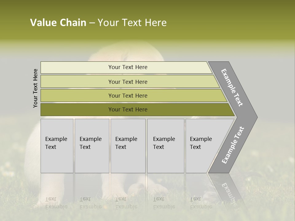 Jungtier Haustier Welpen PowerPoint Template