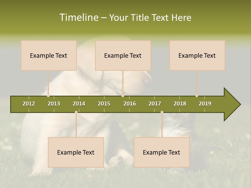 Jungtier Haustier Welpen PowerPoint Template