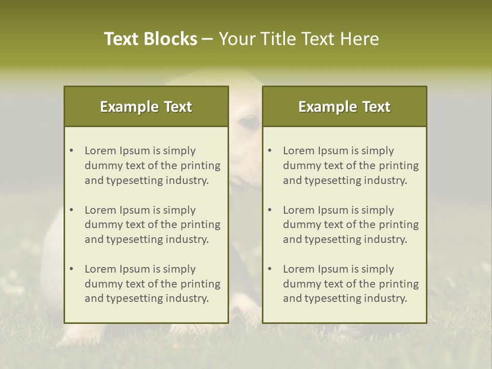Jungtier Haustier Welpen PowerPoint Template