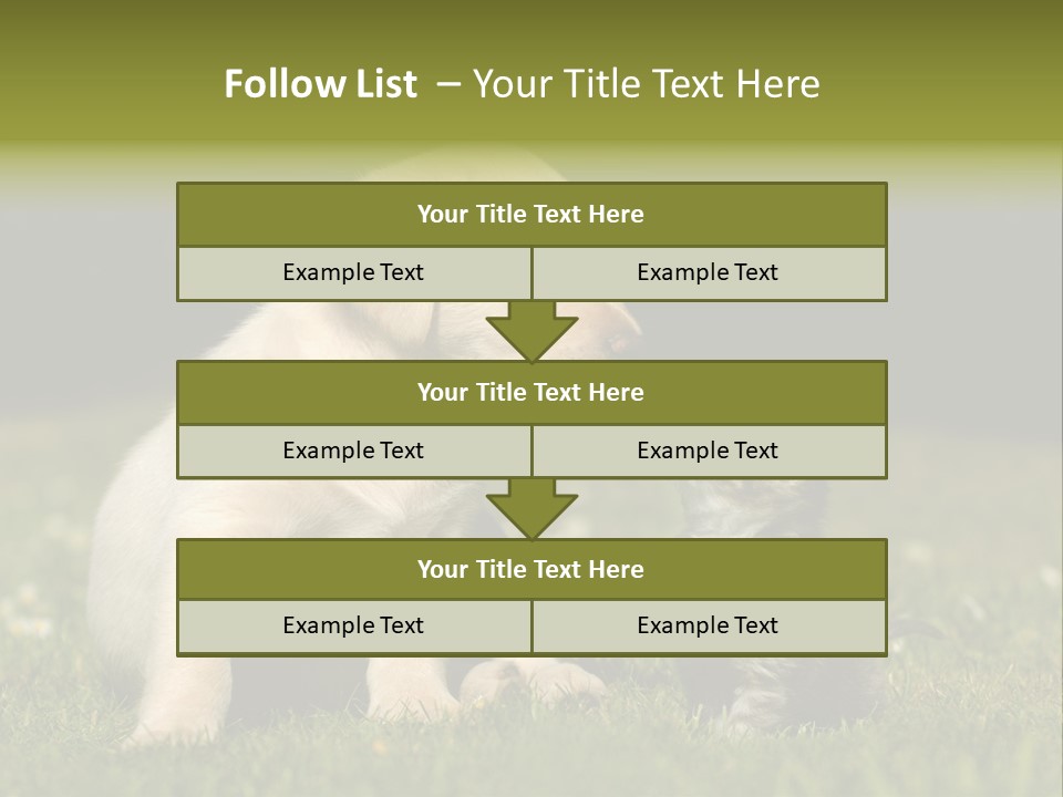 Jungtier Haustier Welpen PowerPoint Template