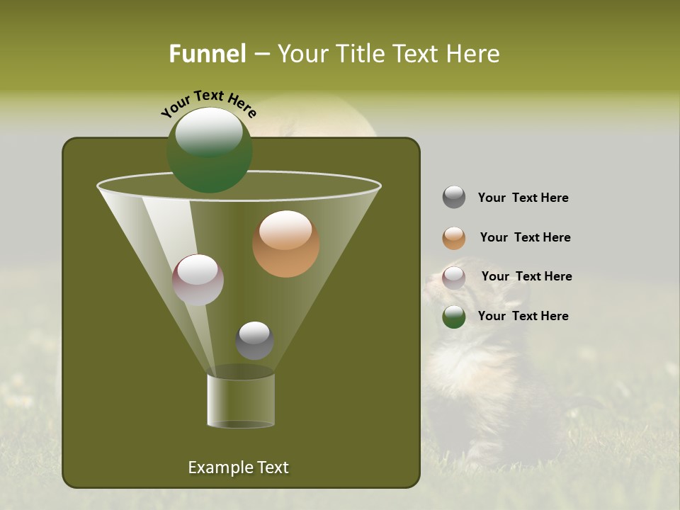 Jungtier Haustier Welpen PowerPoint Template