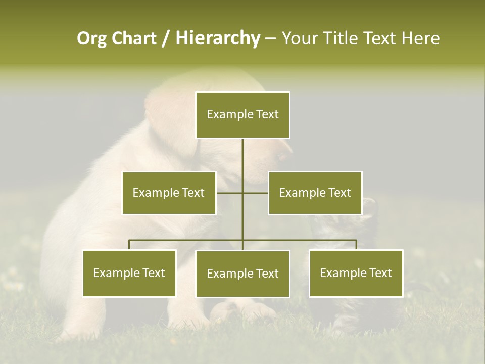 Jungtier Haustier Welpen PowerPoint Template