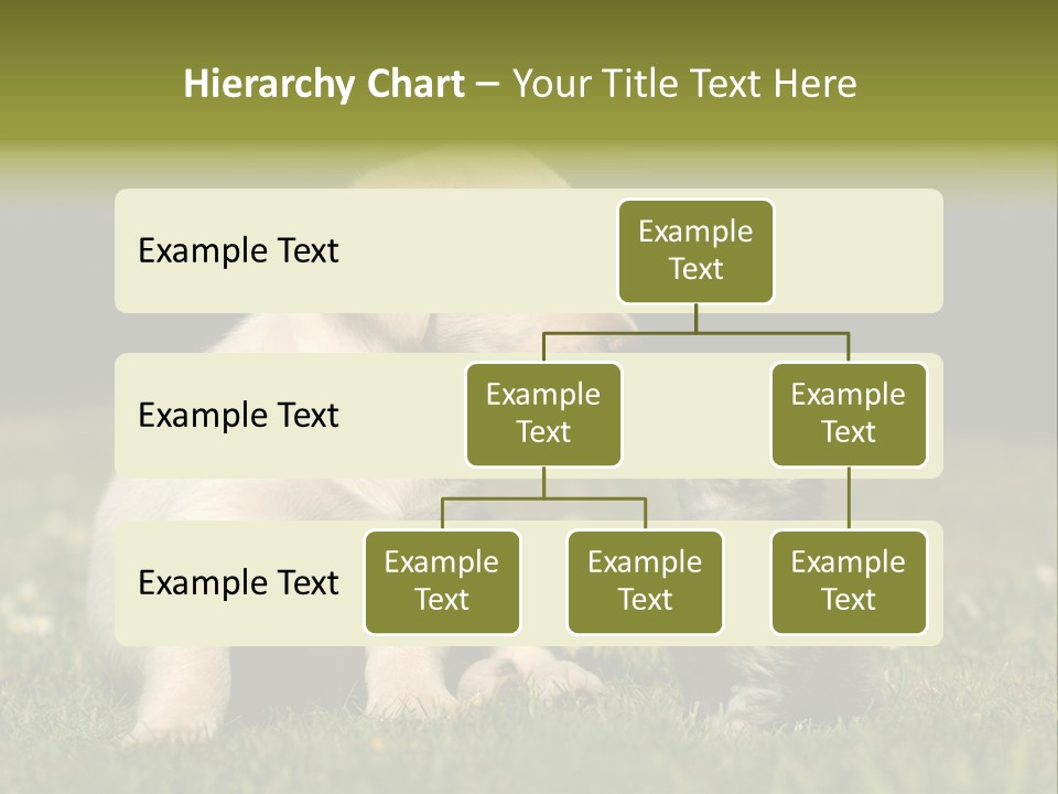 Jungtier Haustier Welpen PowerPoint Template