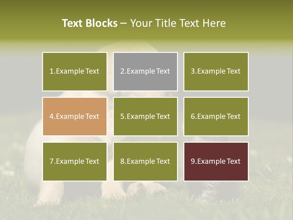 Jungtier Haustier Welpen PowerPoint Template