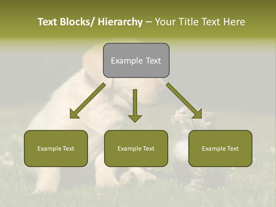 Jungtier Haustier Welpen PowerPoint Template