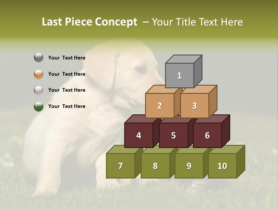 Jungtier Haustier Welpen PowerPoint Template