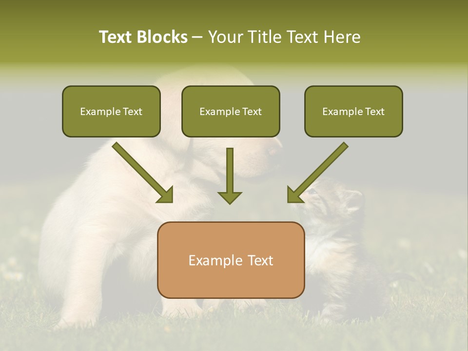 Jungtier Haustier Welpen PowerPoint Template
