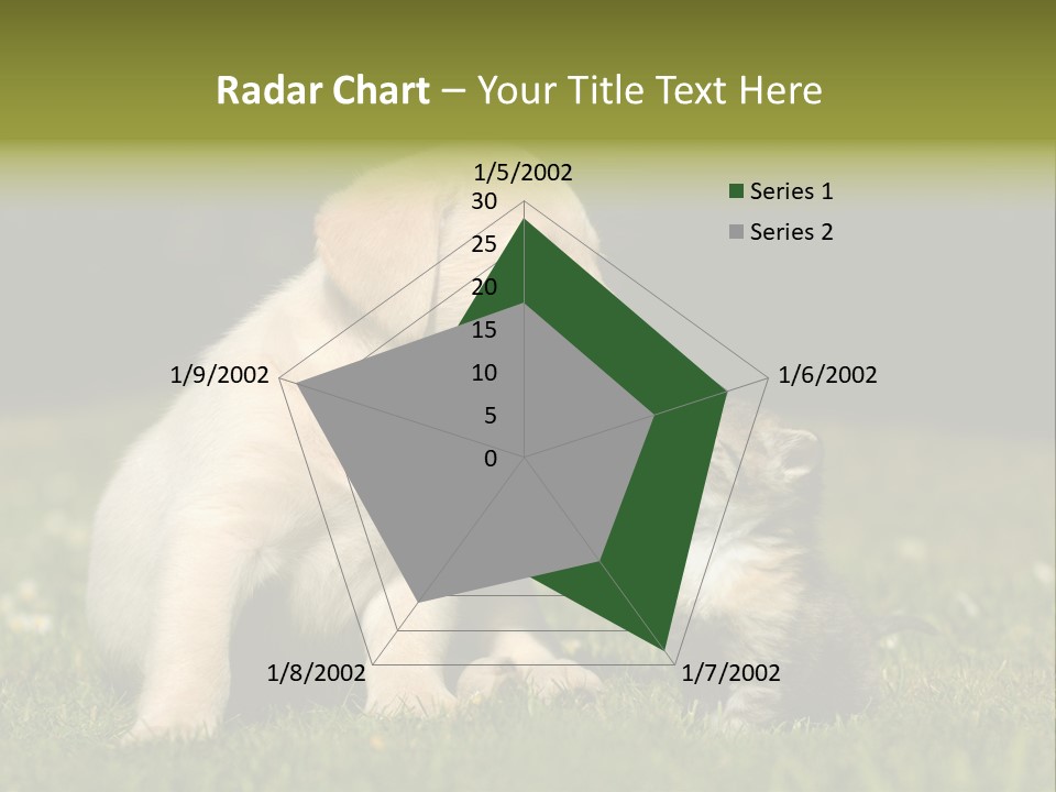 Jungtier Haustier Welpen PowerPoint Template