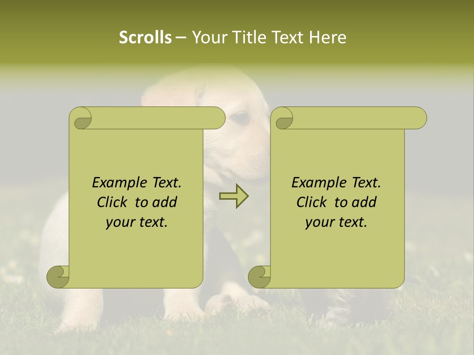 Jungtier Haustier Welpen PowerPoint Template