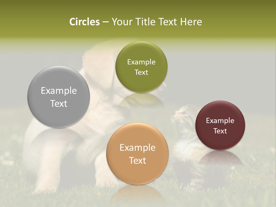 Jungtier Haustier Welpen PowerPoint Template