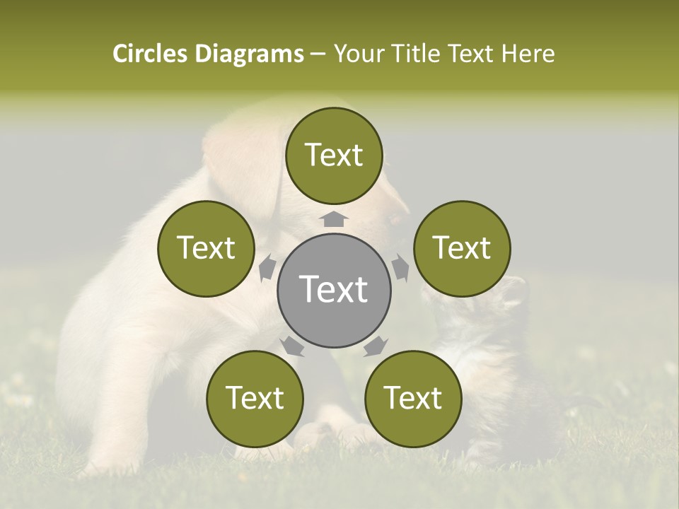 Jungtier Haustier Welpen PowerPoint Template