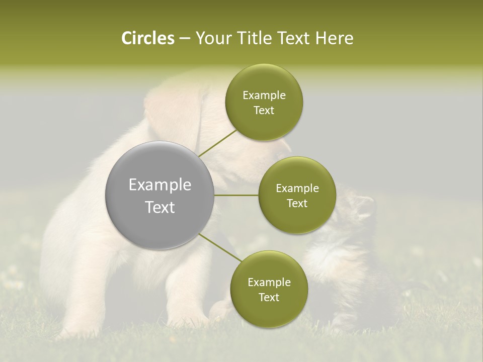 Jungtier Haustier Welpen PowerPoint Template