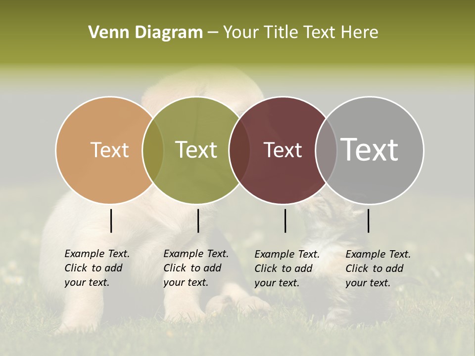 Jungtier Haustier Welpen PowerPoint Template