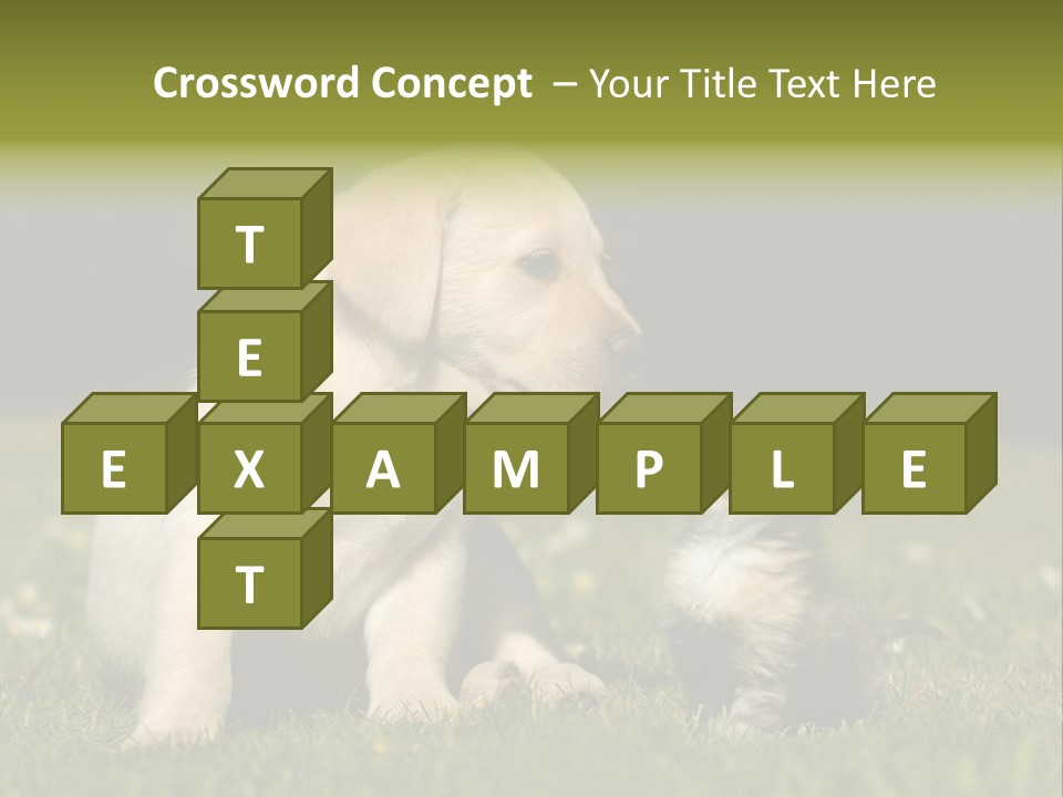 Jungtier Haustier Welpen PowerPoint Template