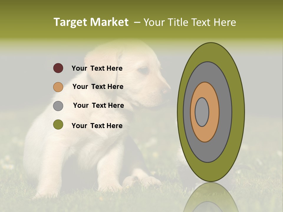 Jungtier Haustier Welpen PowerPoint Template