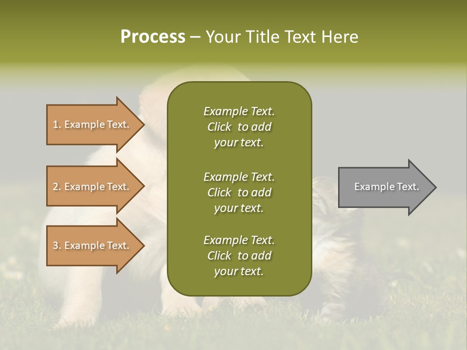 Jungtier Haustier Welpen PowerPoint Template