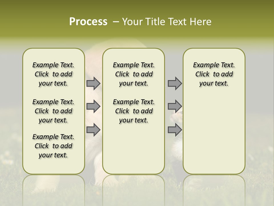Jungtier Haustier Welpen PowerPoint Template