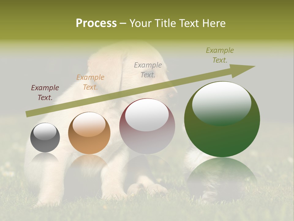 Jungtier Haustier Welpen PowerPoint Template