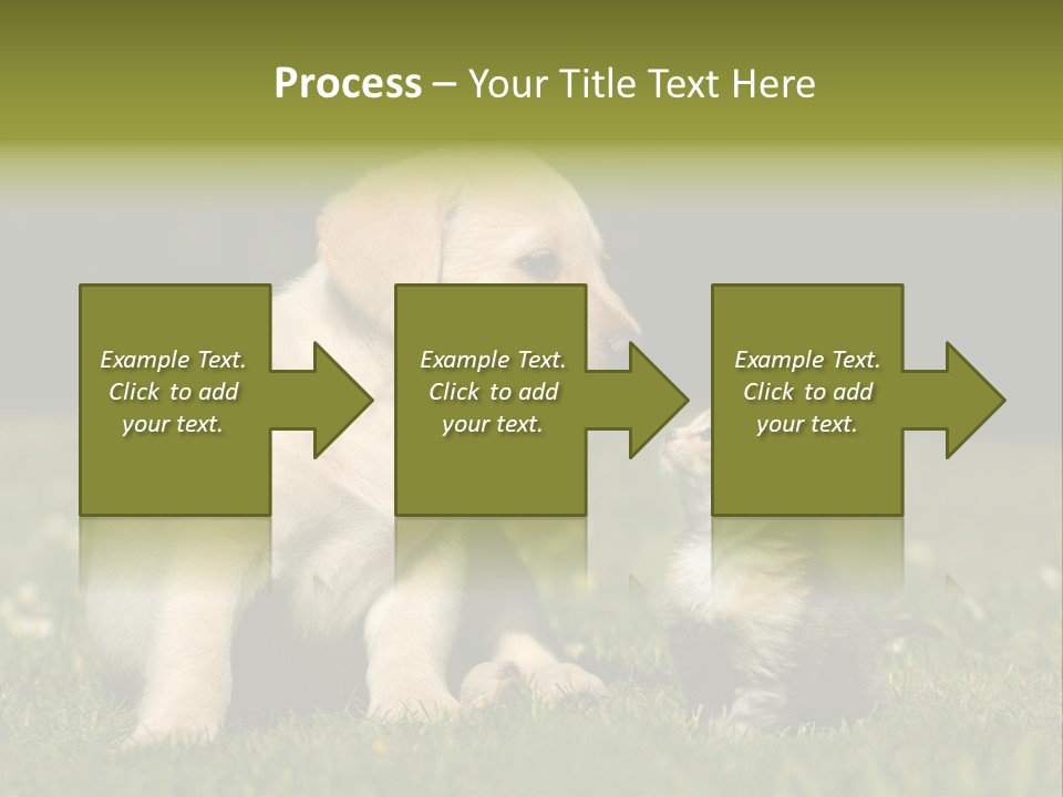 Jungtier Haustier Welpen PowerPoint Template