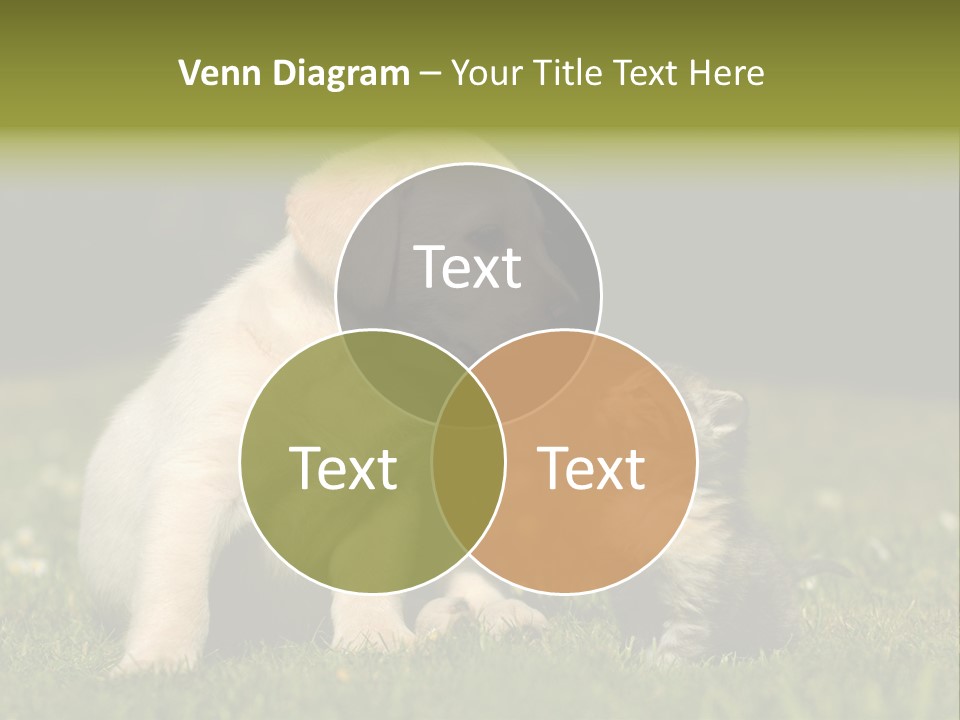 Jungtier Haustier Welpen PowerPoint Template